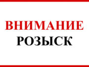 В Запорожье продолжаются поиски школьника, — полиция и волонтеры обращаются за помощью к водителям