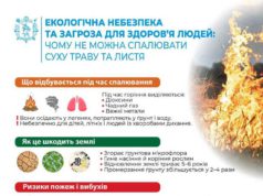 Запоріжцям нагадали про небезпеку спалення листя